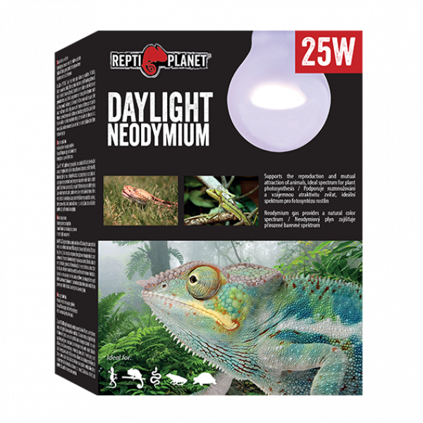 Daylight Neodymium